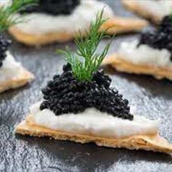 caviar alternative alternatief vegan kaviaar plantaardig belgique belgie vegetalien sans poisson zonder vis
